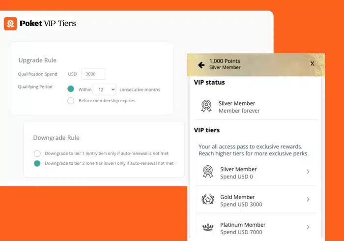 Loyalty program - VIP tiers